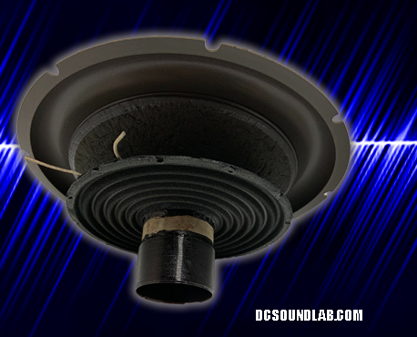 DC AUDIO Shorties Re-Cone's