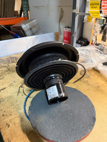 Extra M4 XL Elite 12" D2 Re-Cone