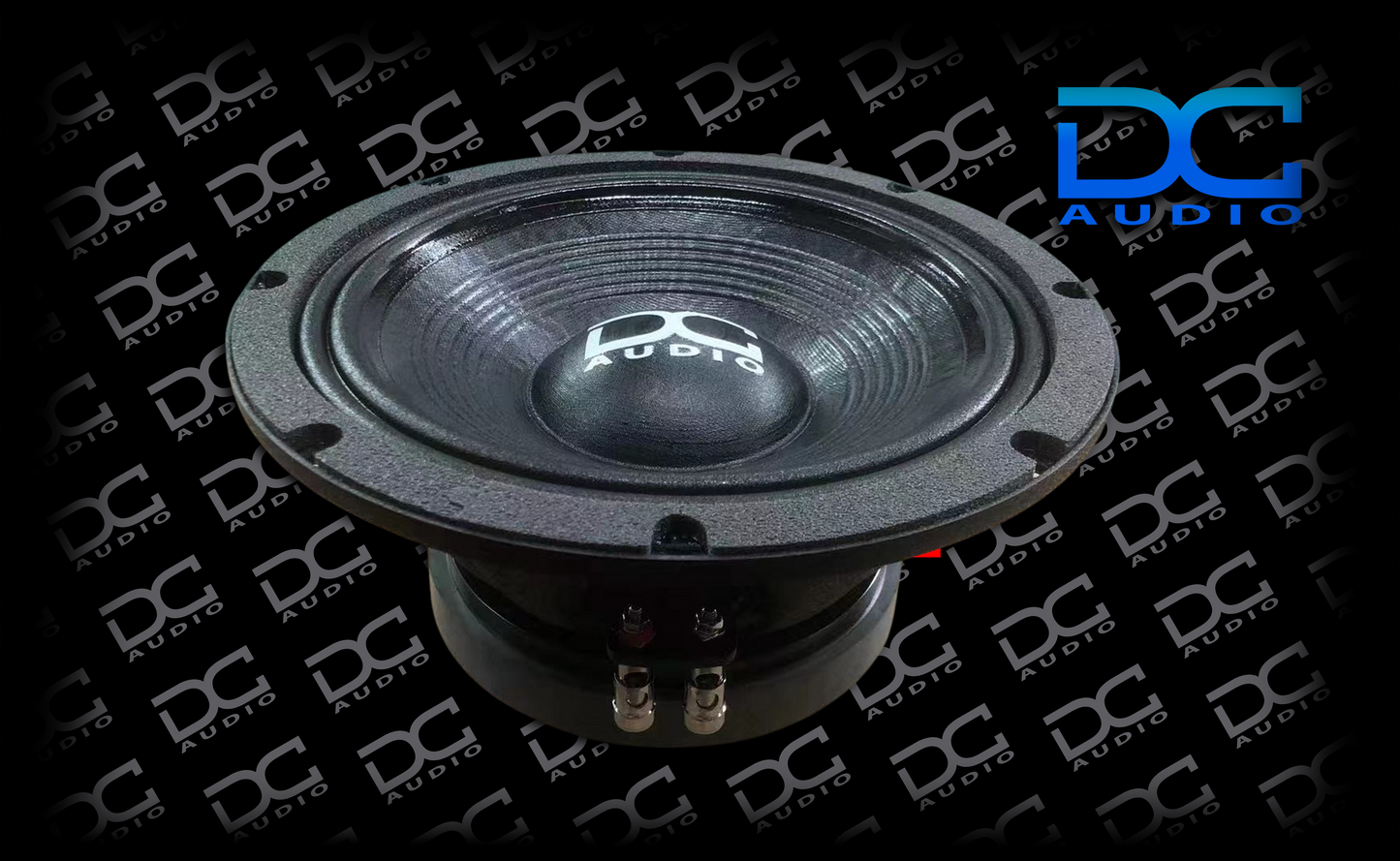 DC Audio Destroyer 10" LF Pro Audio Speaker